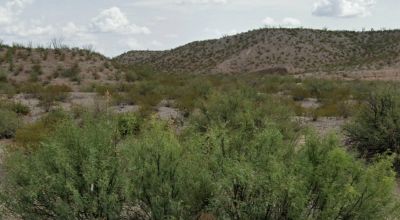 Rolling Hills - 2 miles to Rio Grande River - Presidio Texas 4 lots