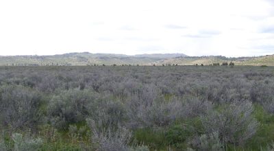 Scenic Oregon 160 acres wide open spaces