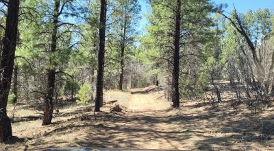 20 Acres with Trees bordering BLM lands - El Morro Ranches