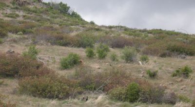 On Hill - Klamath County Oregon land - Camp RV build