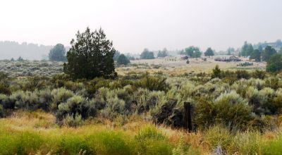 North side Drews Road - Paved frontage - Power at road.