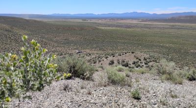 Rolling Hills 40 acres east of North Fork of Humboldt River