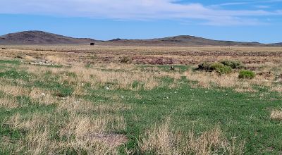 30 acres East of Manassa Colorado - No restrictions