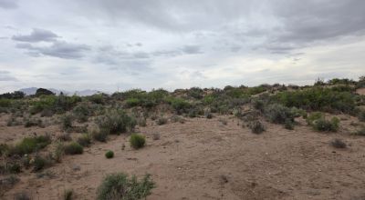 Deming New Mexico Land for sale. North side of Deming. Near Hatch Highway.