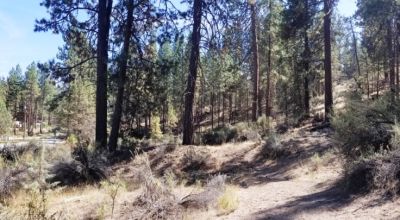 Bonanza Oregon land - 2 adjoining lots with Trees - Power at Road