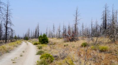 2 adjoining undeveloped residential Lots near Beatty Oregon  * REDUCED due to fire several years ago
