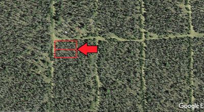 Two Adjacent Corner Lots - Mountain Property Near Campbell/Deadhorse Lakes - Nearly 1/2 Acre