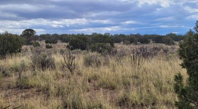 30 acre Central New Mexico Property Windmill Ranch Excellent Roads. Power at Road