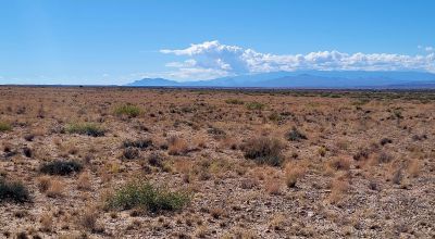 Off-Grid Dream Property - Two Adjacent Lots - Two Acres - Includes Corner - Bring Your RV