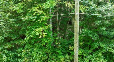 Discover Your Dream Escape in Fentress County, TN!