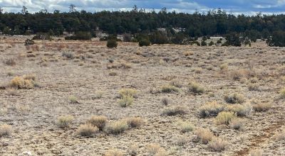 5.02 Acres in Ramah, NM. RV's & MH Allowed $0 DOWN - The Off Grid Escape You Are Looking For!