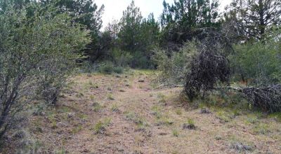 Forested Southern Oregon Property * Residential lot