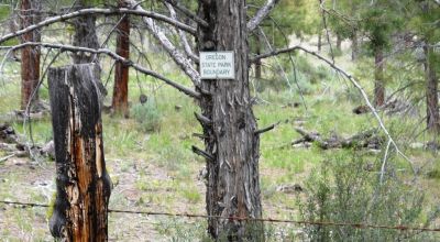 40 acre Forested parcel includes base of the hill and part of the hill - Views Trees