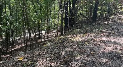 Pretty Lot Walking Distance to Beaver Lake