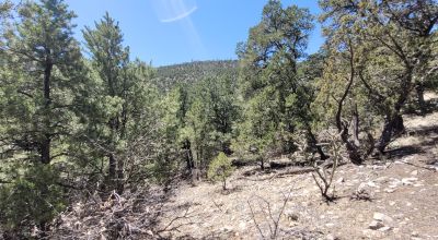 Santa Fe County New Mexico 5 acres in the Mountains - Seasonal Creeks