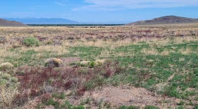 30 acres East of Manassa Colorado - No restrictions