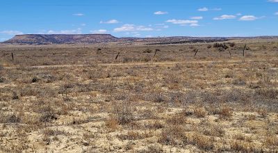 Ambrosia Lake area - 4 adjoining 1 acre parcels - Camp RV Build RV - Scenic desert views