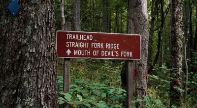 Beautifully Wooded 4 Acres in High Nob area, South of Big Cherry Reservoir