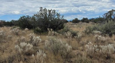 20 acres Scenic New Mexico Huge Southerly Views with Power at the Road