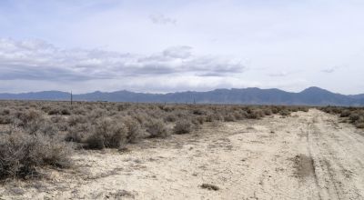 2 adjoining 80 acre parcels * Dolly Varden