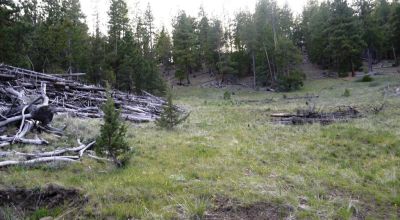 10 acres on the Hill with trees - Easterly Views - 15 miles to Lakeview Oregon