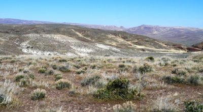 80 acres of Rolling Hills  only $49,000