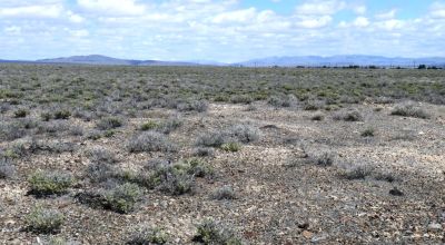 Paved Hwy 306  Frontage Crescent Valley Nevada Camp RV Build