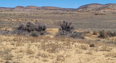 Hwy 509 Frontage - Power at road - Near Ambrosia Lake - Four 1-acre parcels available