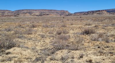 Ambrosia Lake area - 4 adjoining 1 acre parcels - Camp RV Build RV - Scenic desert views
