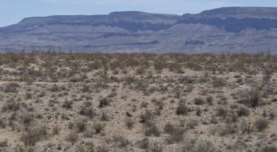 Arizona Desert vicinity of  Kingman - Yucca - Bullhead city - 2 adjoining lots