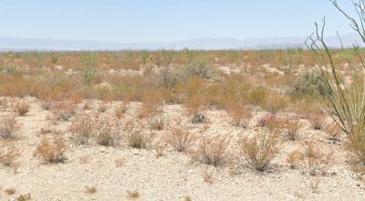80 acres Mountains of West Texas Desert