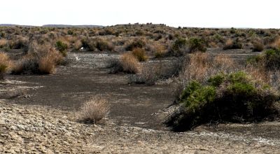 Classic Nevada Desert - Just off Hwy 95