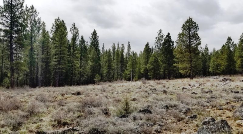 9.72 acres North of Beatty Oregon - Camp - RV - Build - Borders BLM lands
