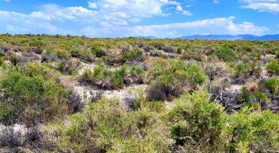 1 Full Section of  Nevada Desert & SAND HILLS  *  1 mile by 1 mile *