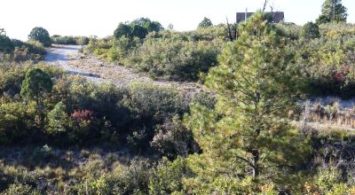 4 adjoining Lots Sacramento Mountains 35 miles south of Cloudcroft New Mexico