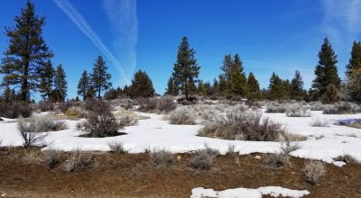 Klamath Forest Estates - Main Road Access - Power -Trees