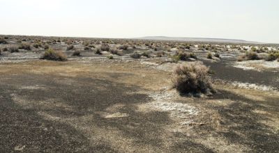 Classic Nevada Desert - Just off Hwy 95