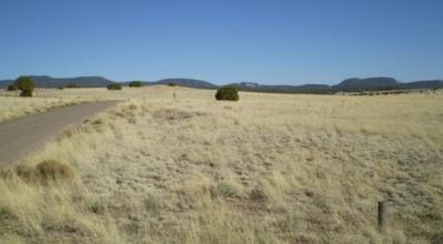 Wide Open Spaces Western New Mexico 25 miles SW Quemado County Road Access