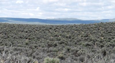 166 acres Remote NW Nevada land Massacre Lake with Massacre Creek