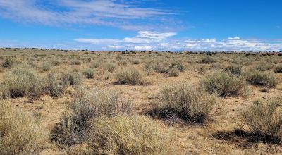Rio Grande Estates - One Acre Lot - Endless Possibilities