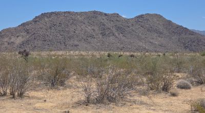 Classic Arizona Desert - Dry Wash - Camp RV Build Mobiles allowed