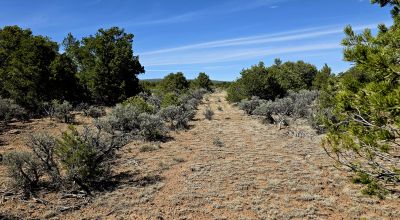 Half acre in Taos County New Mexico - Camp RV Build - No restrictions