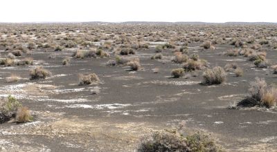 Classic Nevada Desert - Just off Hwy 95