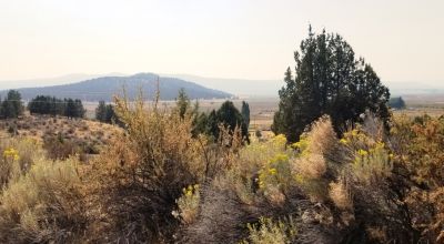 Huge Views of the Sprague River Valley