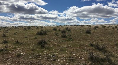 Nearly Ten Acres with Platted Road Access - Southeastern Oregon