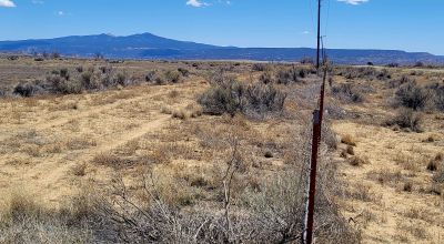 Hwy 509 Frontage - Power at road - Near Ambrosia Lake - Four 1-acre parcels available