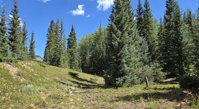 Ouray Colorado -  Red Mountain Mining District- 10 Acres Treed Mountain land