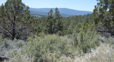 2 adjoining lots with wide open views of Sprague River and Valley