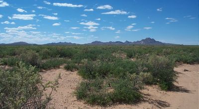 20 acres Southern New Mexico Desert land
