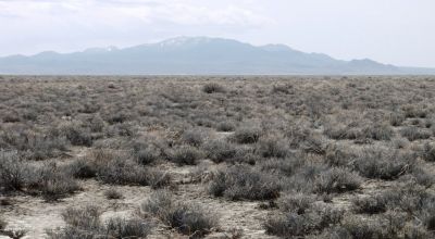 2 adjoining 80 acre parcels * Dolly Varden